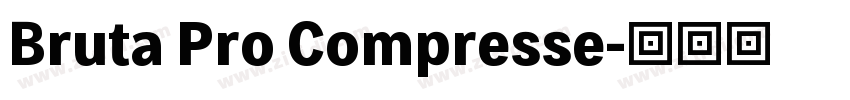 Bruta Pro Compresse字体转换